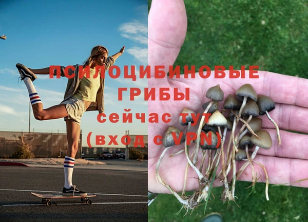 кристаллы Алексин