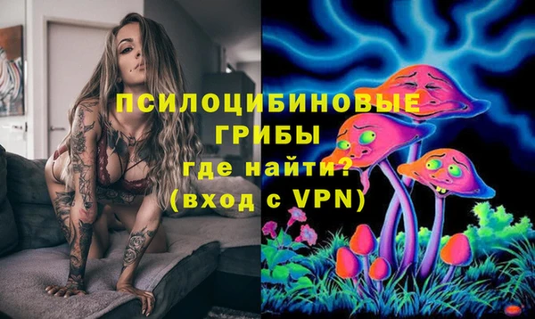 таблы Алексеевка