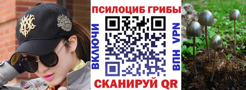 Галлюциногенные грибы ЛСД  закладка  Задонск 